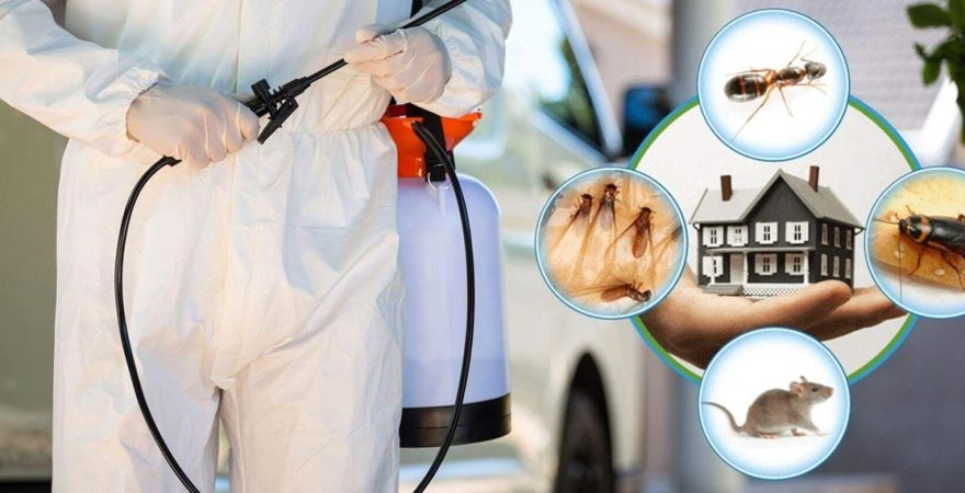 Orhangazi Böcek İlaçlama