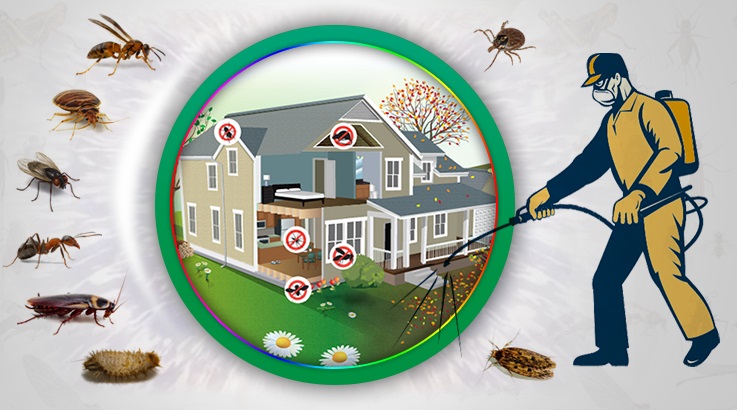 Orhangazi Böcek İlaçlama