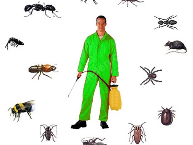 Orhangazi Böcek İlaçlama